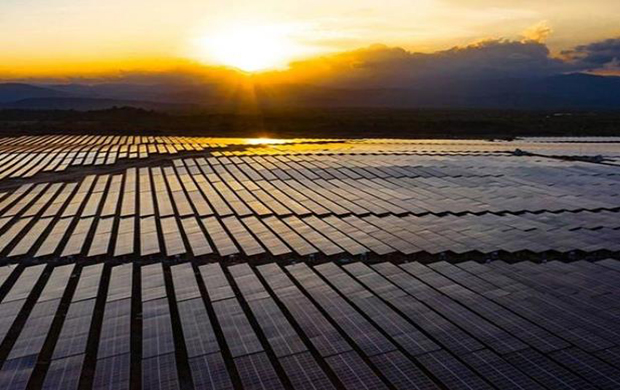 internationaal energieagentschap voorspelt 115 GW van nieuwe zonne-energie dit jaar